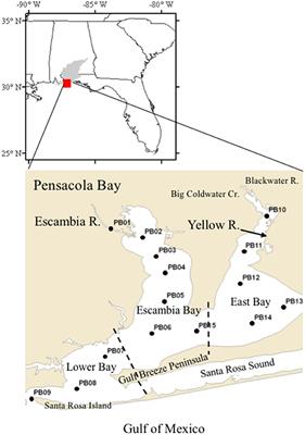 Satellite Derived Water Quality Observations Are Related to River Discharge and Nitrogen Loads in Pensacola Bay, Florida